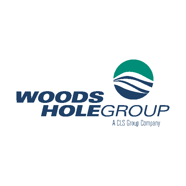 Woods Holegroup Logo
